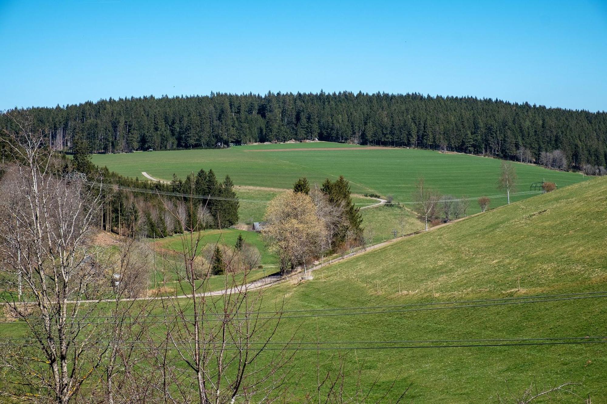 Ferienwohnung Armbruster Sankt Georgen im Schwarzwald Kültér fotó